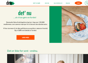 Det' Nu, hjemmesider